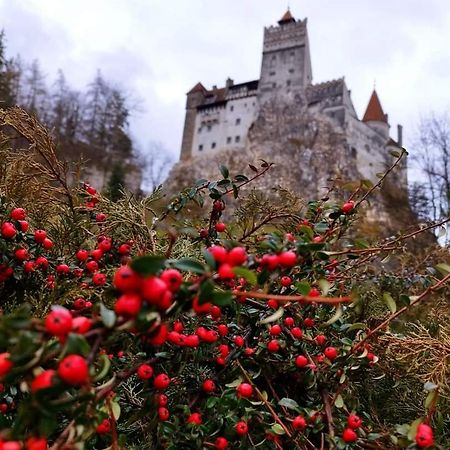 Pensiunea Antonio Bran Bran  Buitenkant foto