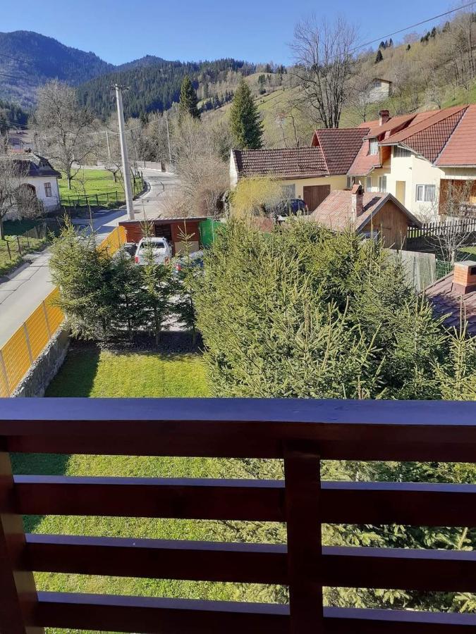 Pensiunea Antonio Bran Bran  Buitenkant foto