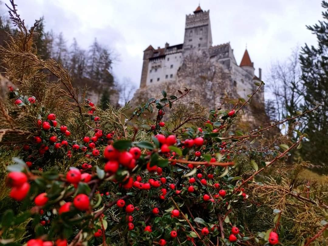 Pensiunea Antonio Bran Bran  Buitenkant foto