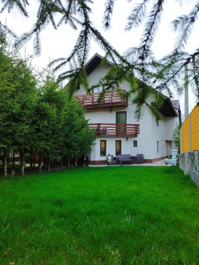 Pensiunea Antonio Bran Bran  Buitenkant foto