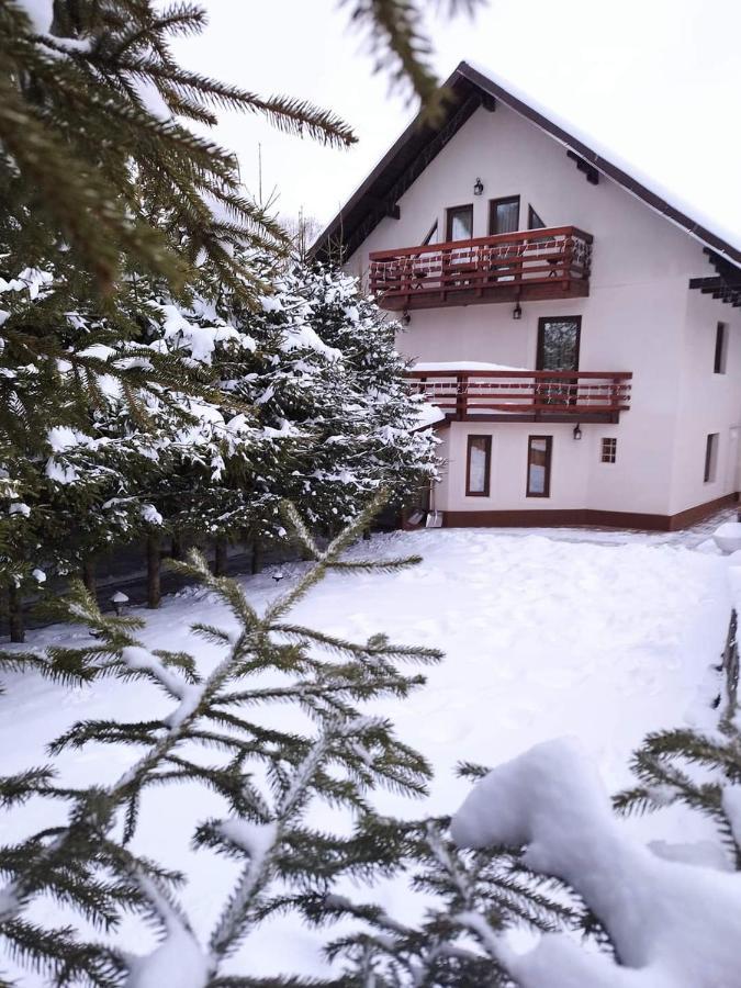 Pensiunea Antonio Bran Bran  Buitenkant foto
