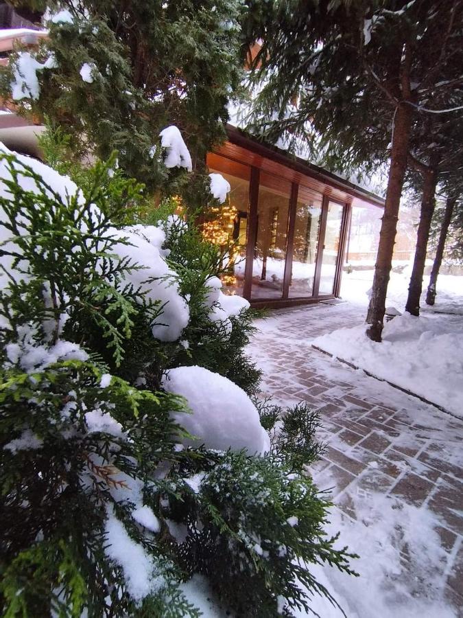 Pensiunea Antonio Bran Bran  Buitenkant foto